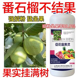 保花保果药番石榴防落素叶面肥促花授粉坐果灵果树柑橘番茄桃树梨