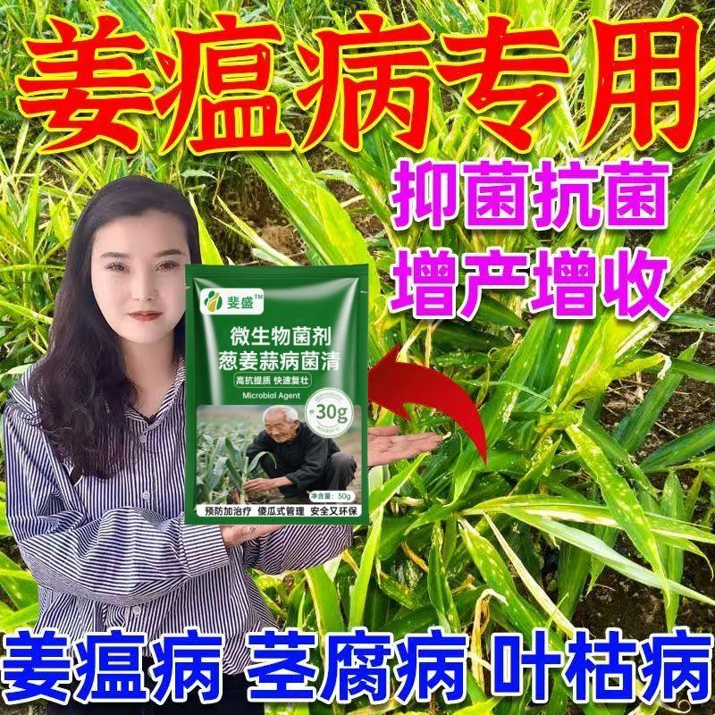 生姜病全治姜瘟灵净全套
