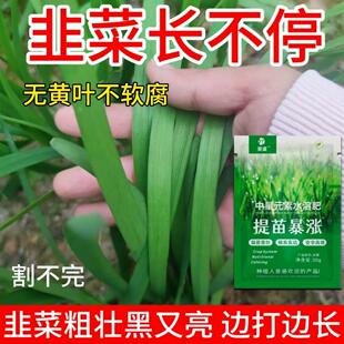 韭菜专用肥料营养液催芽韭菜粗又壮大葱蒜蔬菜肥家庭盆栽水溶肥