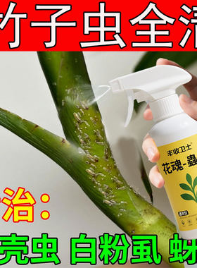 竹子用杀虫打虫药灭竹虫生竹林竹叶用药有虫长虫子腻虫簕竹米杀虫