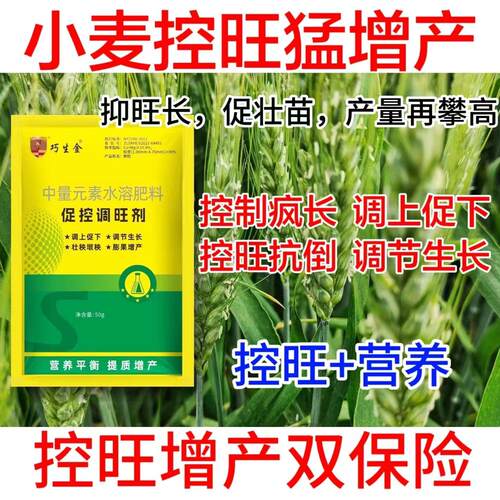 小麦控旺剂小麦矮壮控旺用小麦作物控长矮化调节生长剂增产专用