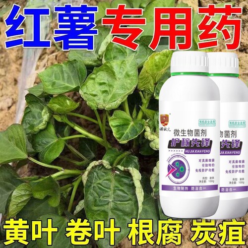 红薯病毒病专用专治药套装黄叶花叶小叶卷叶缩叶畸形叶农药杀菌剂