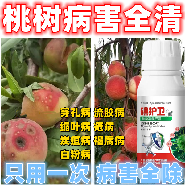 桃树病全治黄桃流胶病疮痂病杀菌剂细菌性穿孔病炭疽病褐腐病白粉