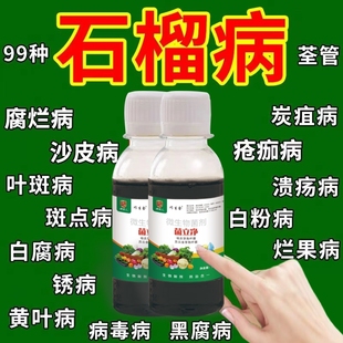 石榴树专用药农药救干腐病果实发黑斑炭疽病防果裂促增产杀菌剂