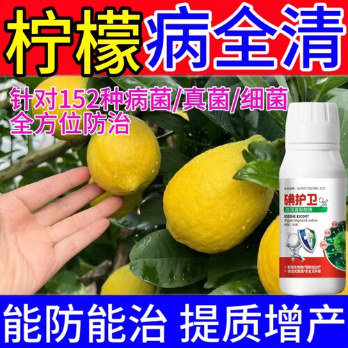 柠檬树病害专用药杀菌剂真菌细菌病毒病疫病灰霉病锈病溃疡病