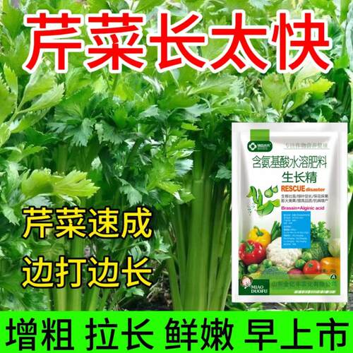 (芹菜速长灵)芹菜专用叶面肥催生速长鲜嫩增产西芹香芹通用