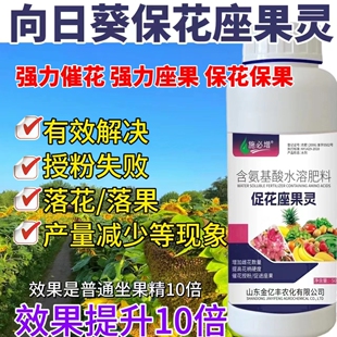 向日葵专用肥料甜瓜香瓜授粉坐果精非药南瓜增瓜灵受粉坐果灵座果