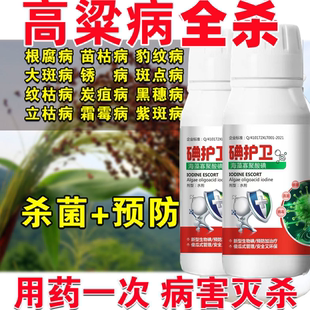 高粱杀菌剂高粱病全治专用杀菌药全杀根腐病苗枯病烟煤病黑穗病