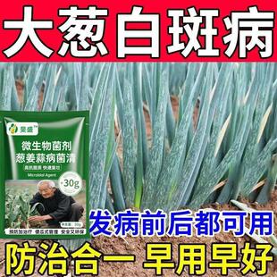 大葱病全治大葱专用杀菌剂灰霉病叶枯疫病根腐病锈病黑斑病紫斑病