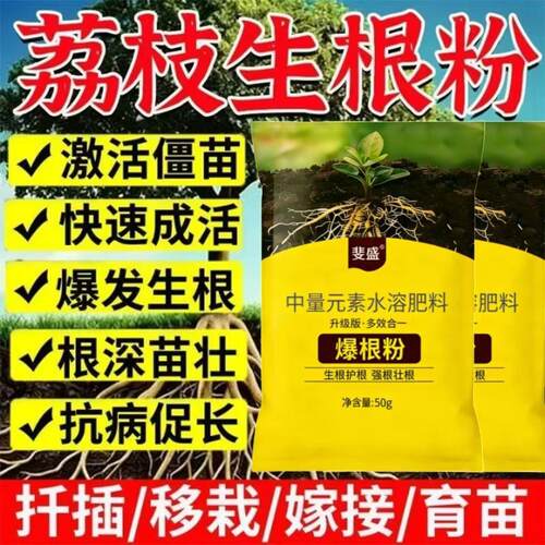 荔枝生根剂生根粉壮苗剂生根液叶面肥防病虫害育苗移栽植苗防烂根