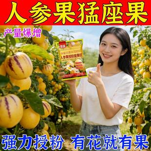 人参果专用增果灵治不开花不结果保花保果防落防畸增产增甜叶面肥