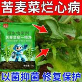 苦麦菜专用药油麦菜生菜茎腐病白粉病霜霉病黑腐病病毒炭疽杀菌剂