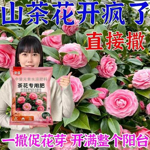 茶花肥料专用肥盆栽四季家用酸性促开花山茶花颗粒缓释肥开花肥料