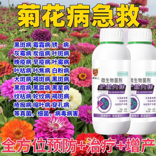 菊花专用杀菌剂治白粉病黄叶枯萎黑锈斑非洲波斯月万寿菊专用药