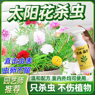 太阳花杀虫剂花生专用药虫子长虫驱虫除虫蚧壳虫去虫药灭防虫打虫