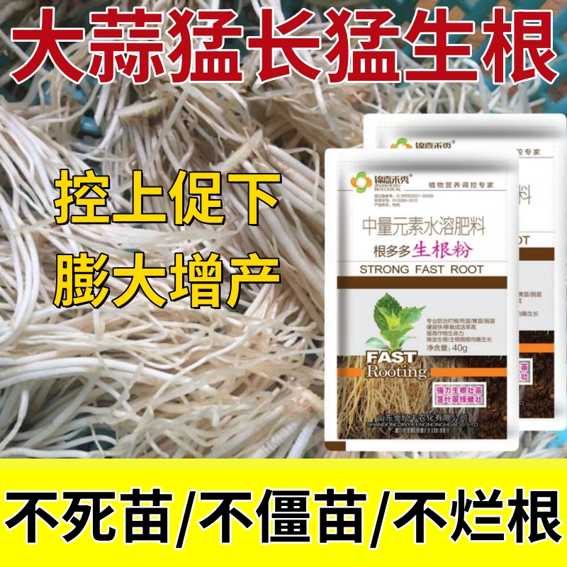 【大蒜猛生根】大蒜生根粉强力生根壮苗剂生根液移栽扦插促生发根