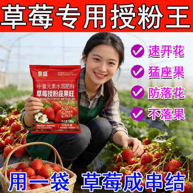 草莓专用授粉王点花保花保果授粉座果精免沾花提高坐果率强力座果