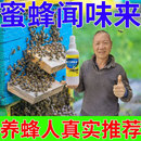 新手专用 诱蜂神器蜂蜡诱蜂用收蜂引蜂招蜂水膏蜜蜂信息素香精