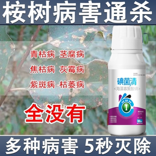 桉树杀菌剂桉树专用杀菌剂桉树病全杀桉树病全治桉树杀菌药