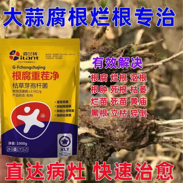 大蒜根腐灵重茬净病专用