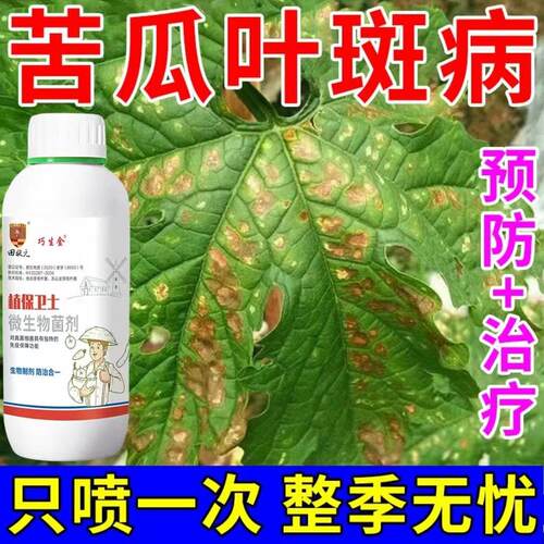 苦瓜叶斑病专用苦瓜病全治杀菌剂细菌性角斑病根腐病霜霉白粉病