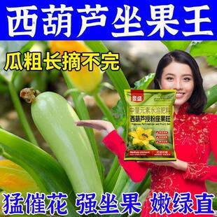 西葫芦催花坐果灵茄瓜授粉点花药坐果王催花拉长直剂防落素通用