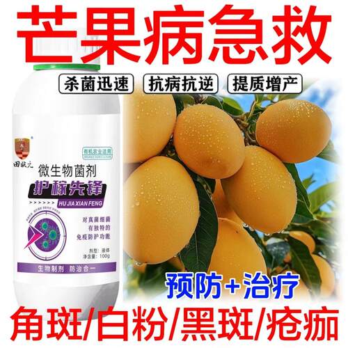 芒果病全治角斑病黑斑病白粉病炭疽病疮痂病农用杀菌剂芒果专用药
