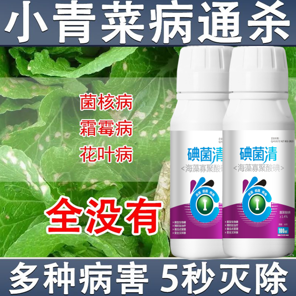 青菜软腐病杀菌剂青菜病