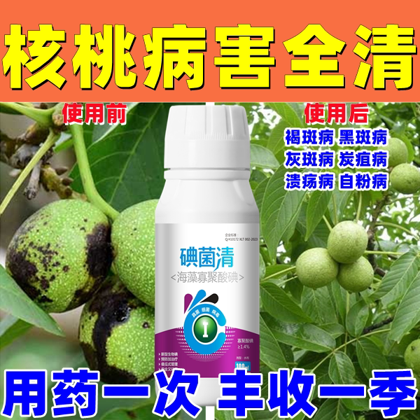 核桃病防治核桃病杀菌核核桃微生物菌剂专用药灰斑病褐斑病黑斑病