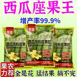 西瓜授粉专用药点花药强力授粉坐果精保花保果素防落防畸有机肥