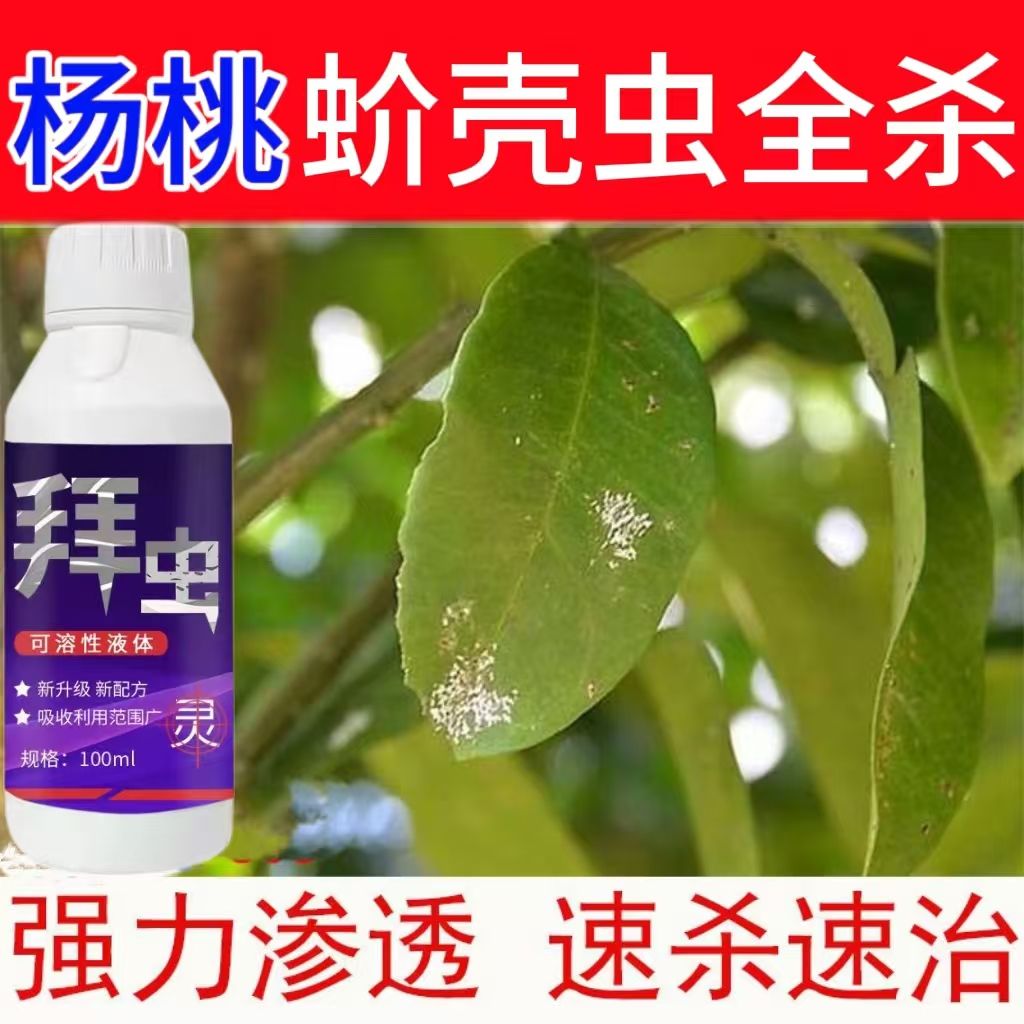 杨桃专用杀虫剂杨桃百虫杀农用杀虫药虫卵双杀鸟羽蛾红蜘蛛果蝇