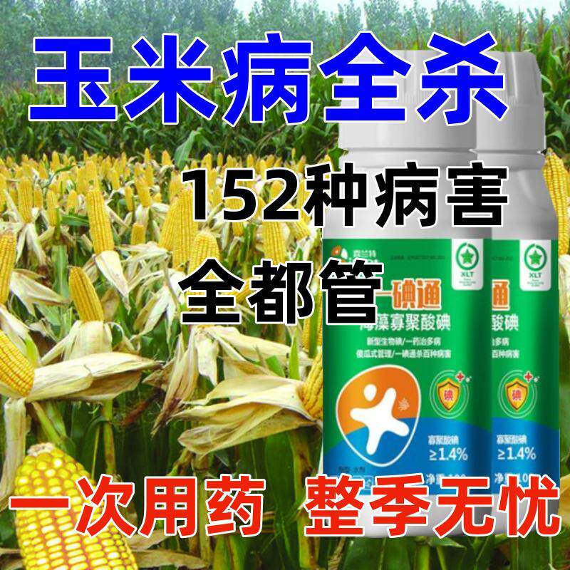 玉米病全治玉米专用杀菌玉米叶斑病锈病纹枯病灰斑病黑穗病粗缩病