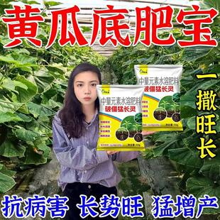 黄瓜底肥宝】专用黄瓜种植改善土壤快速吸收中量元素