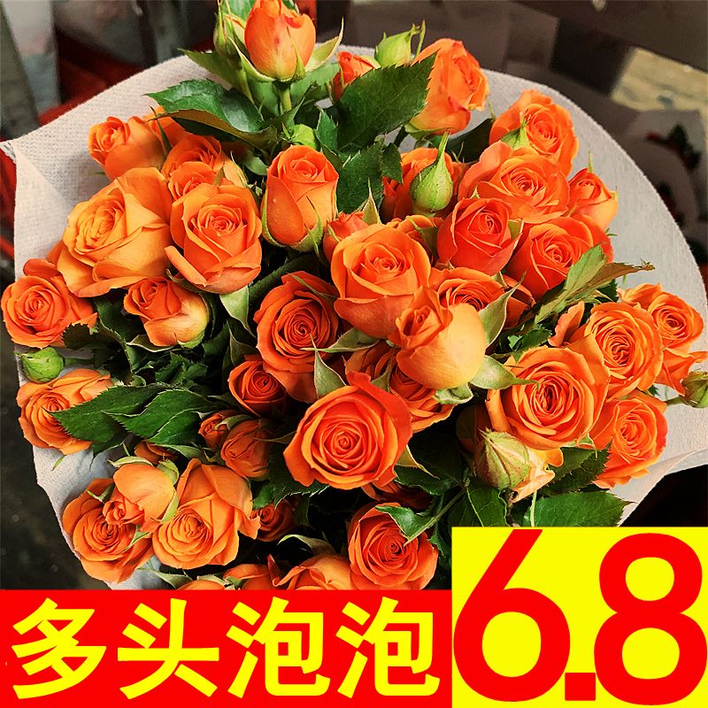 多头泡泡玫瑰云南昆明基地直发百合速递同城鲜花卡布奇洛礼物 鲜花速递/花卉仿真/绿植园艺 花材 原图主图