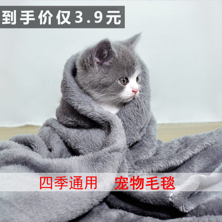 宠物中小型狗狗猫咪简约加厚垫子