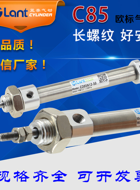蓝泰C85N欧标迷你气缸CD85N16-25-50-75-100-125-150-175-200Z-B