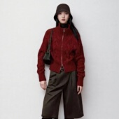 FJSD一光年高领绞花挑洞拉链针织开衫 致 收腰显瘦25冬新款