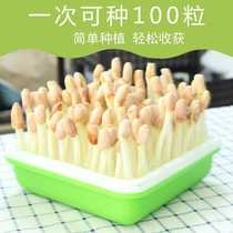 新款花生芽水培盒多功能种植盒豆芽盒家用芽苗菜豆芽菜育苗盘小方