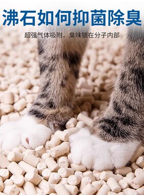 沸石猫砂可水洗除臭吸味不结结团大颗粒防带出成猫幼猫通用