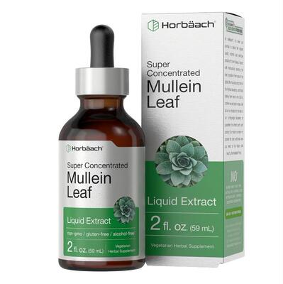 Horbaach Mullein Lung成人肺部净化60毫升毛蕊花液体保健抽烟肺