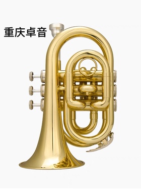 台湾 ESSENCE WORLD 手掌号 ESTP-3401