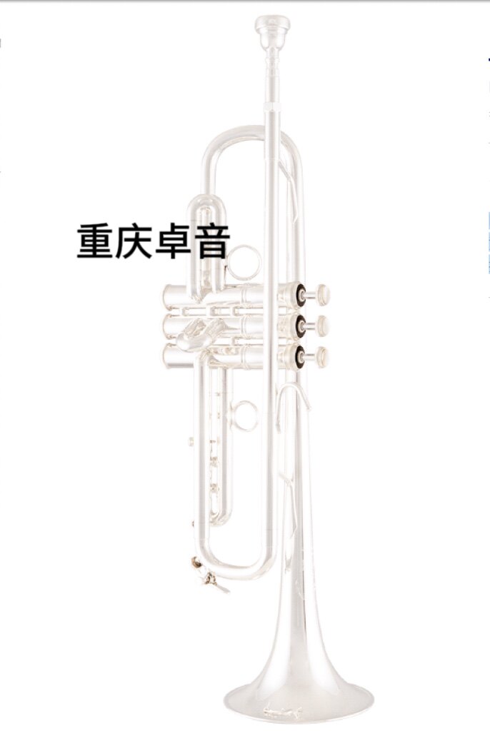 BACH 巴哈 专业级 小号 LT190SL1B