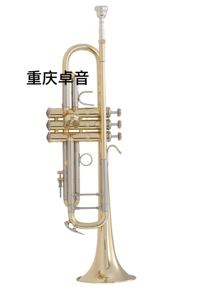 BACH巴哈 专业级小号18072/ 180S37 / 180S43/ 180S72 /189 /189S