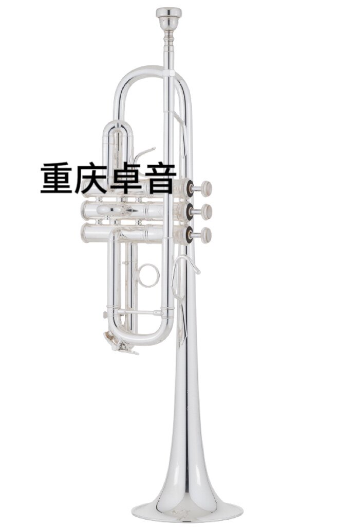 BACH 巴哈 专业级 小号 C180SL239 / C190SL229