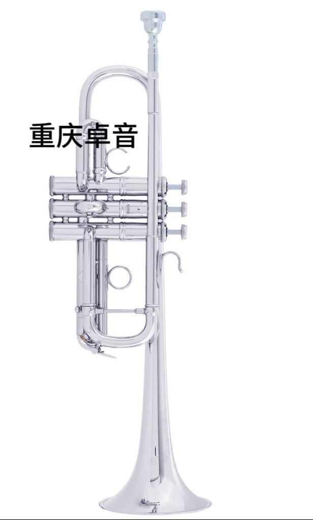 BACH 巴哈 专业级 小号AC190S/ ADE190/ ADE190S/ AE190/ AE190S