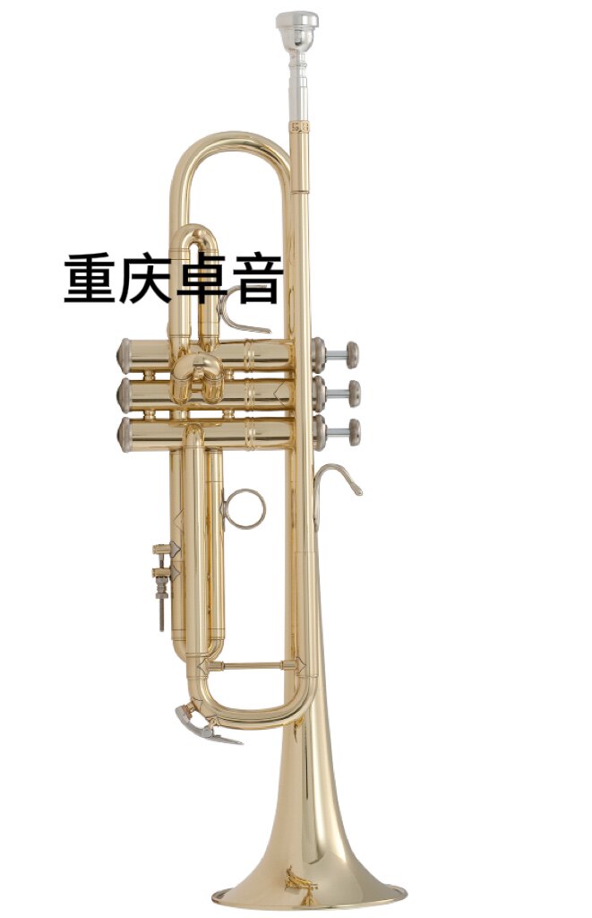 BACH 巴哈 专业级 小号LR18037/ LR18043/ LR180S37/ LR18072