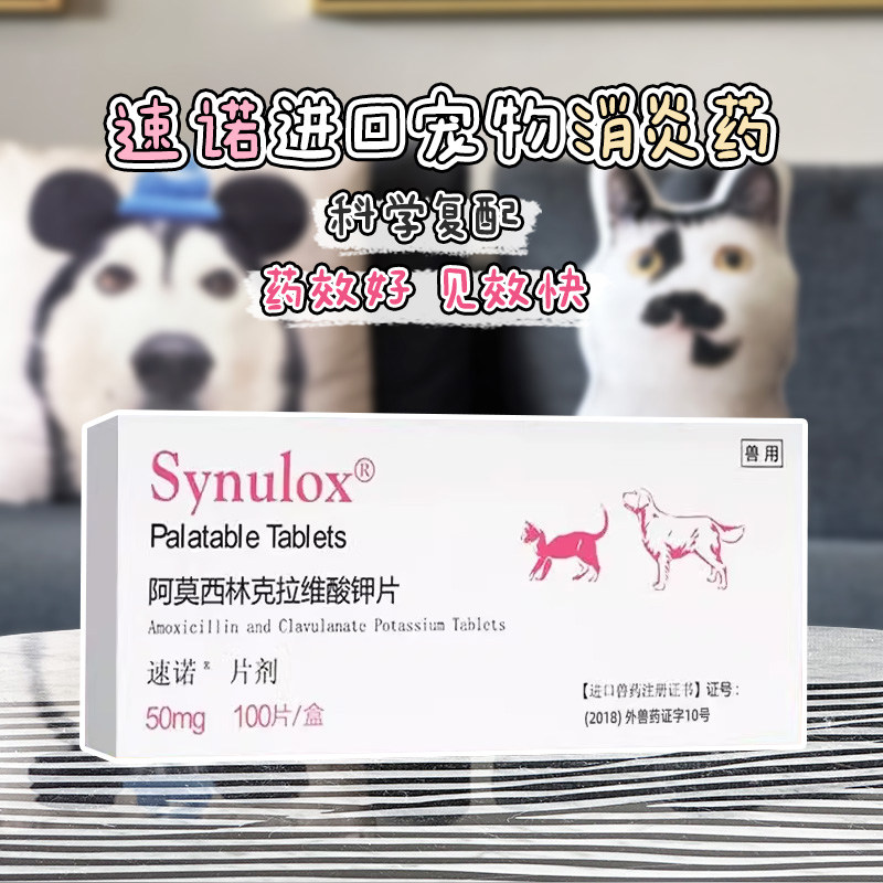 宠物速诺片,宠物速诺片说明书(第15页)_大山谷图库