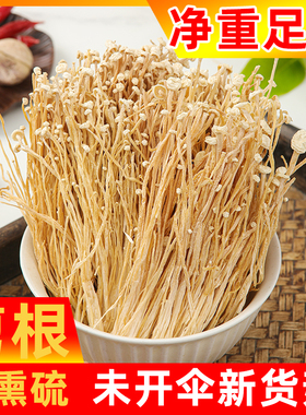 商用特选级金针菇干货2025年古田500g包邮剪根未开伞白金针香菇