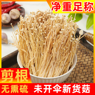 商用特选级金针菇干货2025年古田500g 剪根未开伞白金针香菇 包邮