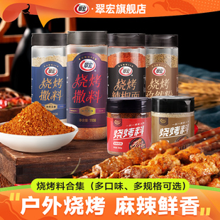 翠宏烧烤料100g罐装 烧烤撒料蘸料香辣孜然风味调味料辣椒面